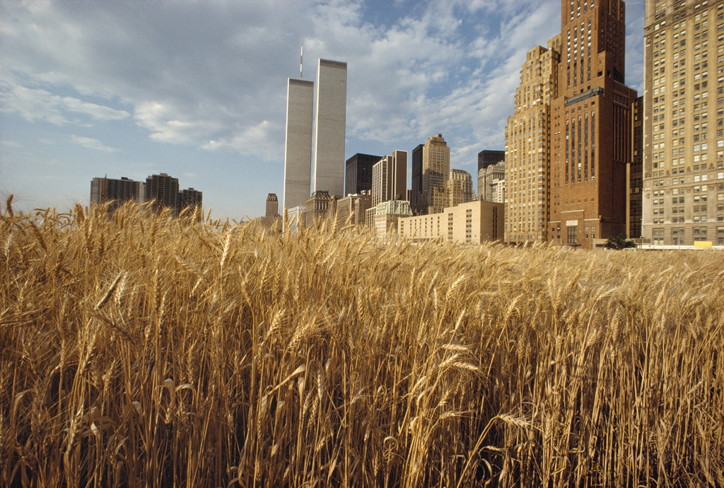 Wheatfield with New York Financial Center, 1982