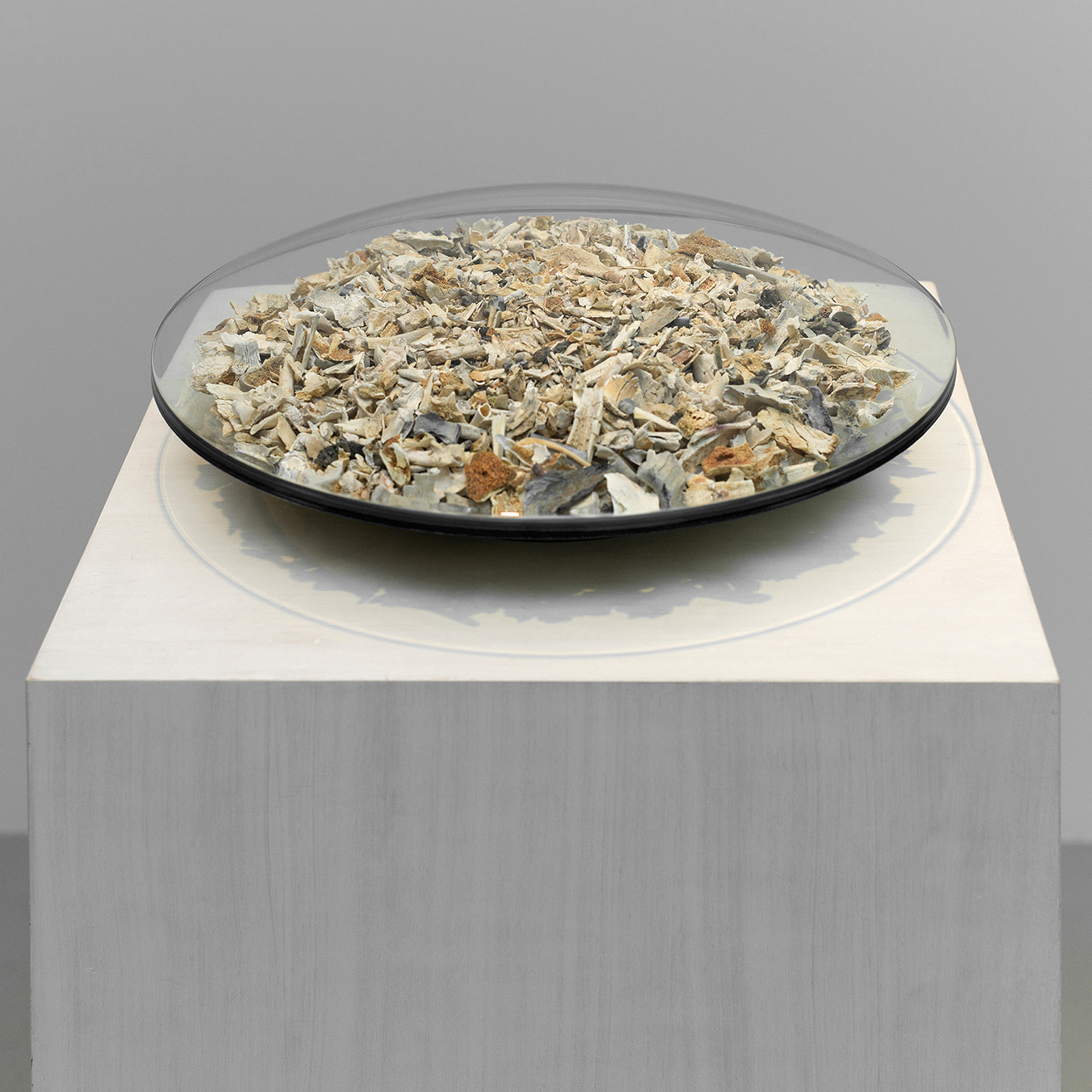 Human Dust Bowl, 2012