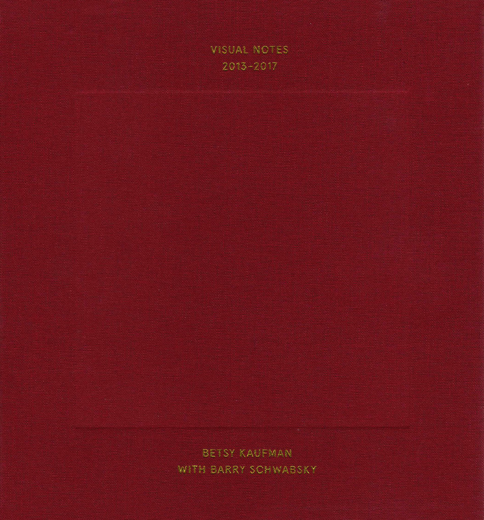 Book Cover for Betsy Kaufman's 'Visual Notes'