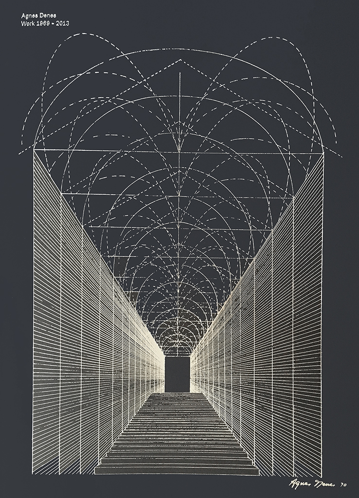 Book Cover for 'Agnes Denes: Work 1969–2013'