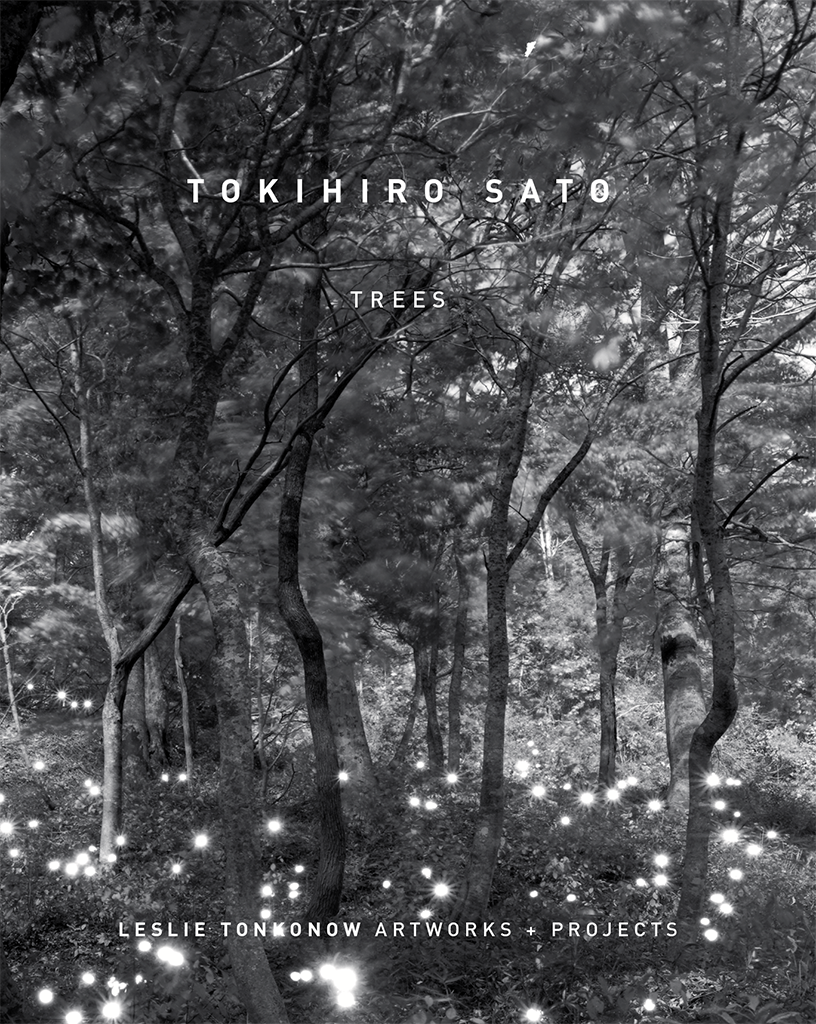 Book Cover for Tokihiro Sato: Trees