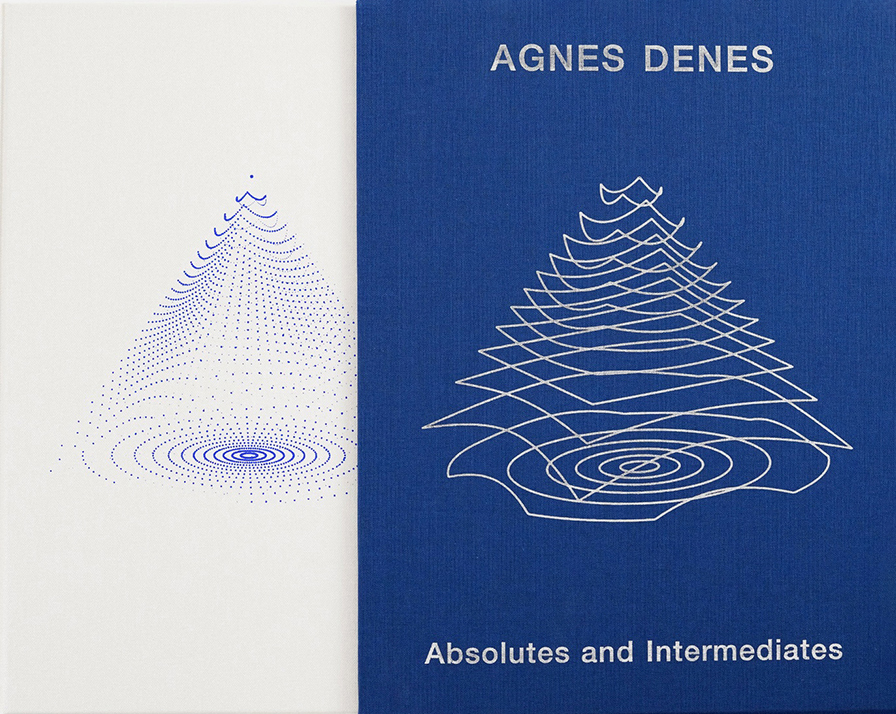 Book Cover for Agnes Denes Absolutes and Intermediates